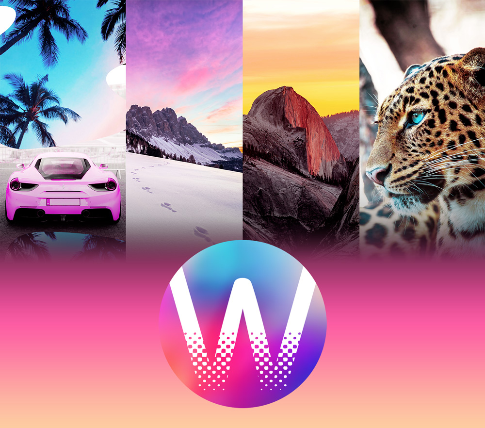 WallpapersMax logo and wallpapers
