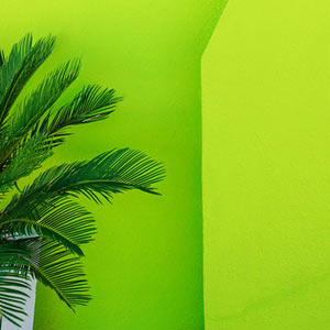 Green Wallpapers Thumbnail