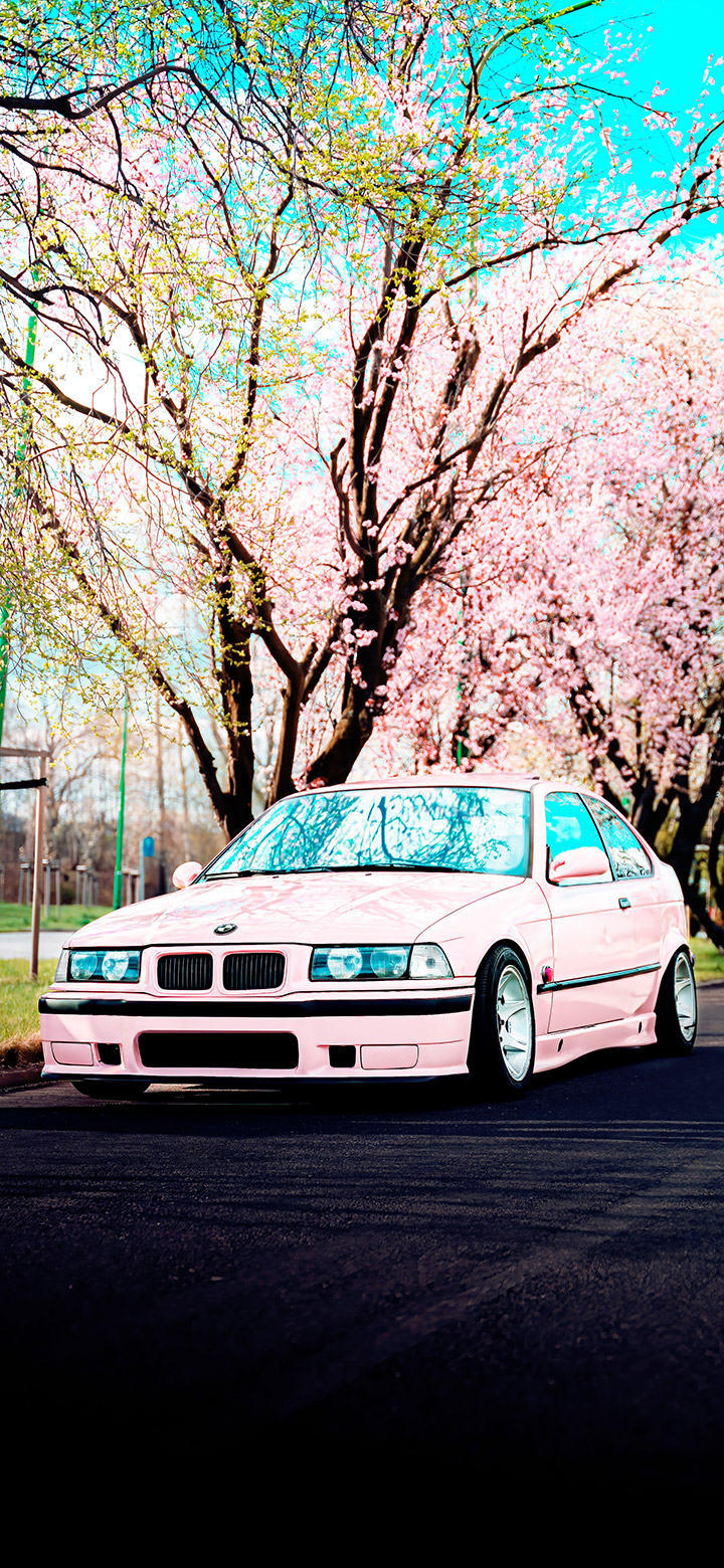 wallpaper of aesthetic bmw under a cherry blossom tree