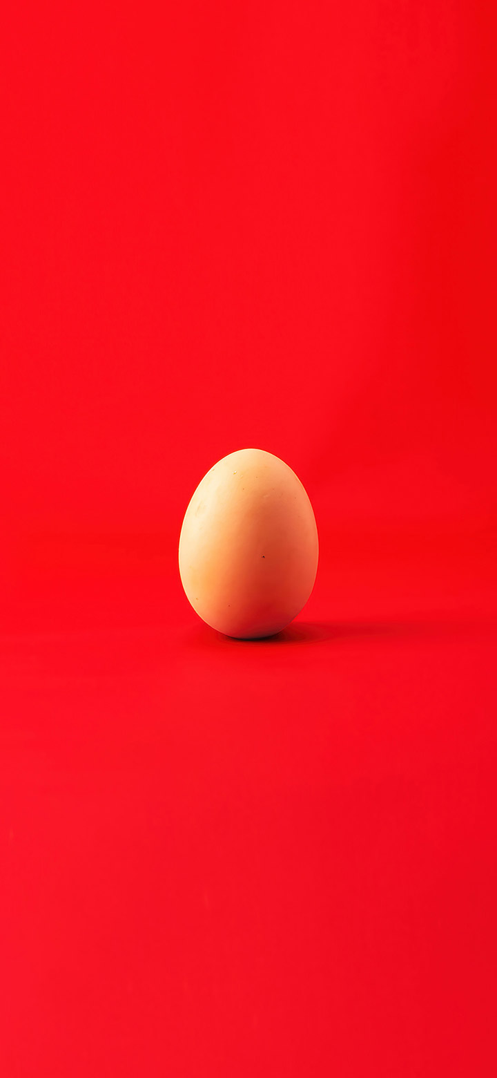 wallpaper of Egg On A Red Background