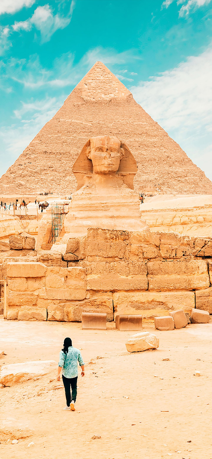 wallpaper of Yellow Sphinx In Egypt