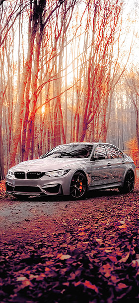 wallpaper of bmw m3 in the brown forest