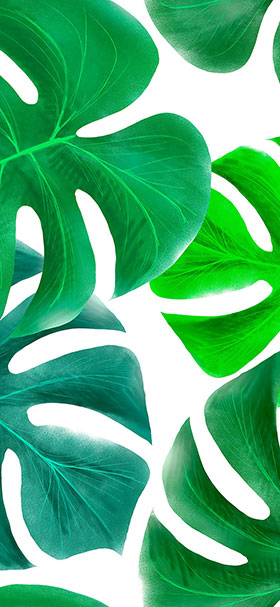 wallpaper of cool giant green leaves
