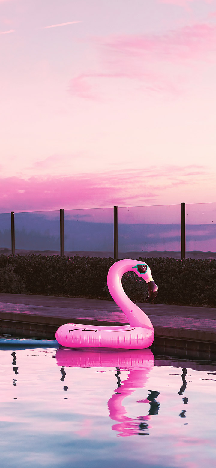 wallpaper of aesthetic pink flamingo water floater