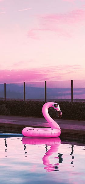 iPhone Wallpaper of Aesthetic pink flamingo water floater