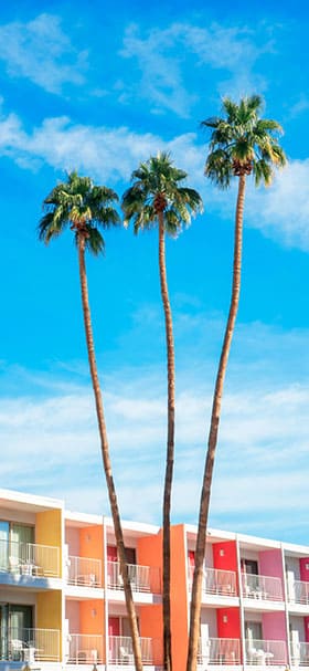 iPhone Wallpaper of Coconut Trees Next To Colorful Buildings