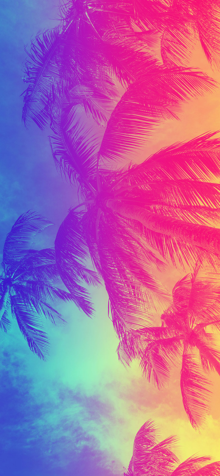 wallpaper of Cool Group Of Palm Trees Flowing In The Air