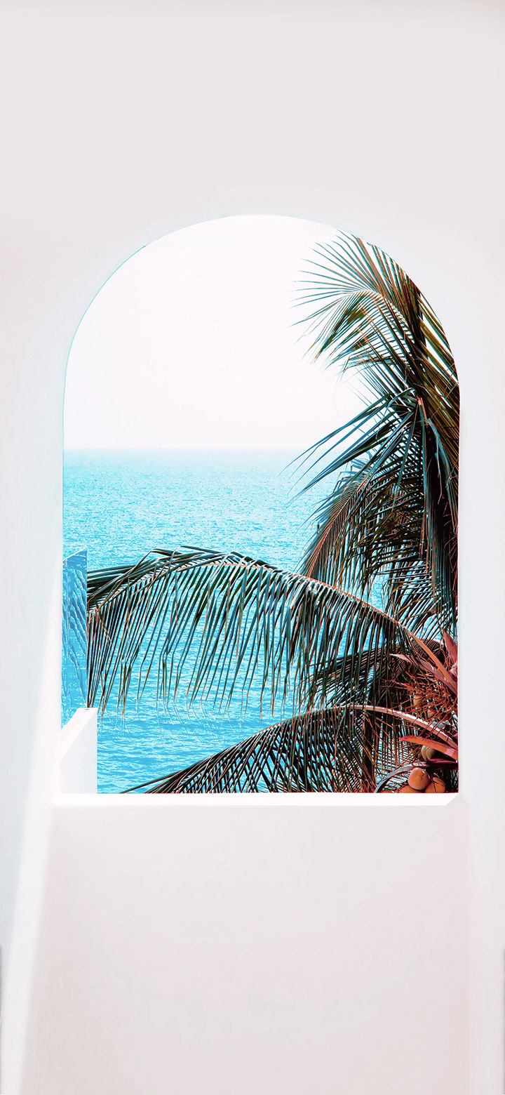 wallpaper of Aesthetic View Of The Palm Tree And The Ocean