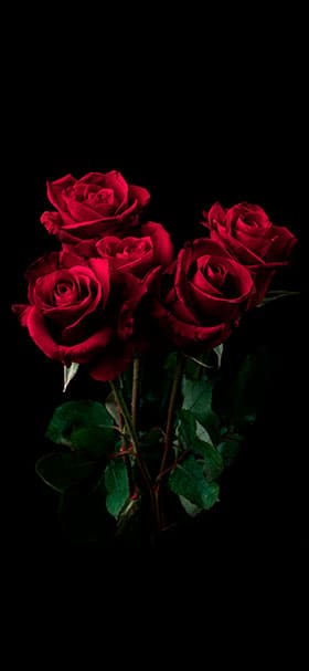 Phone Wallpaper Of Bouquet Of Red Roses In A Dark Room